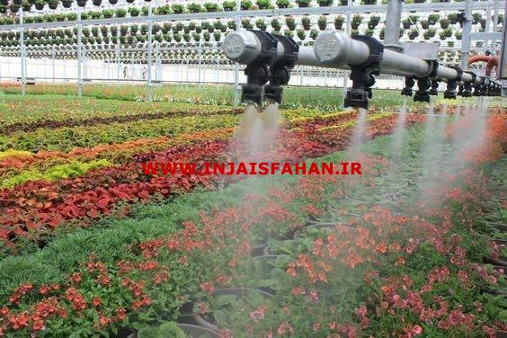 گلخانه سازی و عمده فروش تجهیزات گلخانه