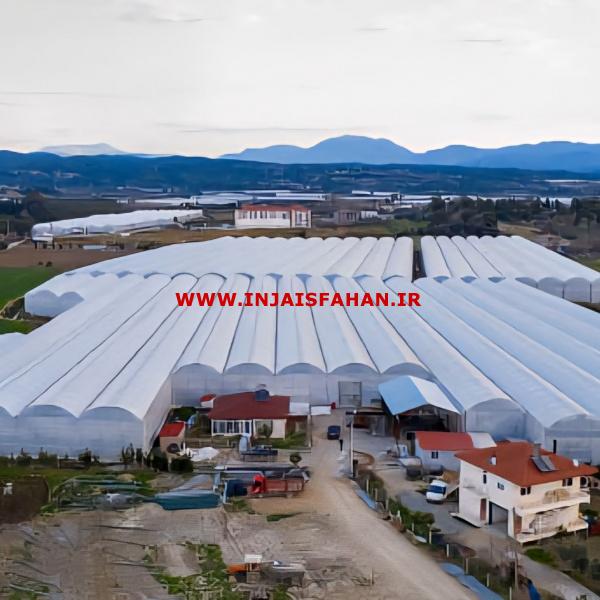 گلخانه صنعتی خیار