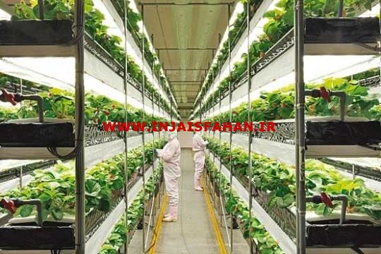 فروش و تجهیزات گلخانه ای پیچ و مهره ای