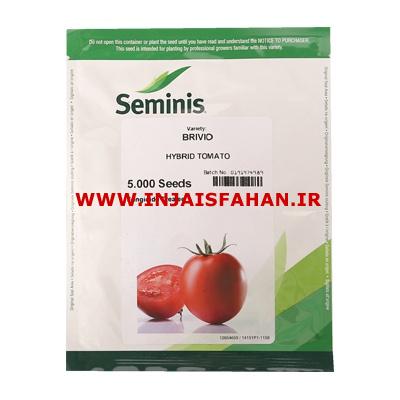 فروش بذر گوجه فرنگی بریویو سیمنس