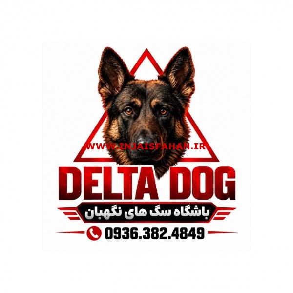 سگ ژرمن شپرد . باشگاه سگ های نگهبان . DELTA DOG