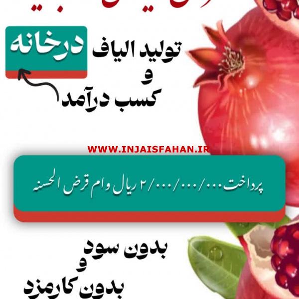 ایجاد اشتغال و کسب درآمد با تولید الیاف (طرح ویژه یلدا)