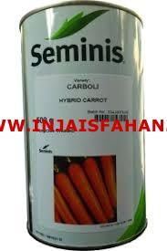 فروش بذر هویج سمینس
