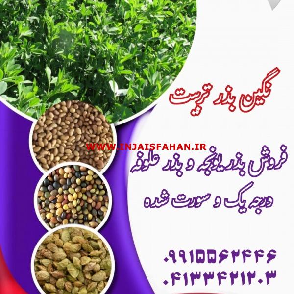 شرکت نگین بذر تربیت (دهاتی)