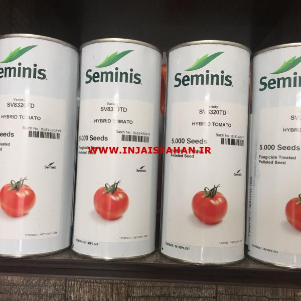 بذر گوجه فرنگی سمینس 8320