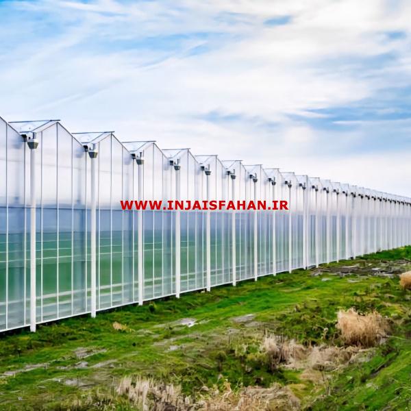 گلخانه صنعتی خیار