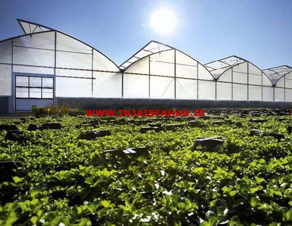 عمده فروشی صفر تا صد تجهیزات گلخانه