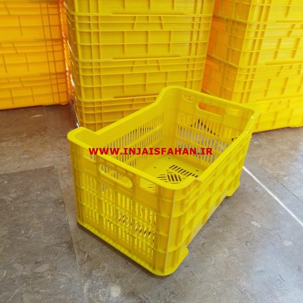 سبد 20 کیلویی میوه و مرکبات
