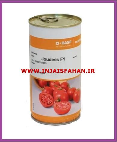فروش بذر گوجه فرنگی جودیوس BASF