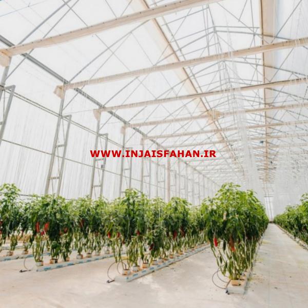 مصالح گلخانه صنعتی
