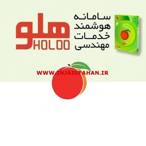 نرم افزارحسابداری هلو فروشگاهی