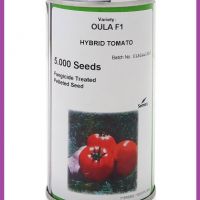 بذر گوجه فرنگی اولا سمینیس ، فروش و ارسال