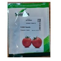 بذر گوجه 8042 سمینیس آمریکا