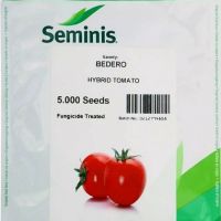 فروش و ارسال بذر گوجه فرنگی بدرو سمینیس