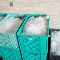 سبد حمل ماهی قزا آلا