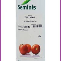 فروش بذر گوجه فرنگی Bellariva F1