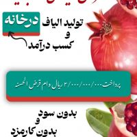 ایجاد اشتغال و کسب درآمد با تولید الیاف (طرح ویژه یلدا)