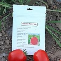 فروش بذر گوجه فرنگی Tifal
