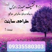 تخفیف عیدانه طراحی سایت رادیس افزار