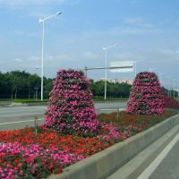 تولید فلاورباکس لوکس شهری و منازل