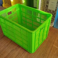 سبد مرغ و ماهی 60 کیلویی