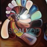 آلبوم کاغذ دیواری اسکالوپ SCALLOP