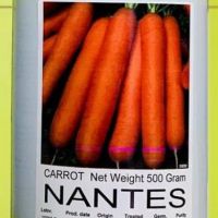 فروش بذر هویج نانتس