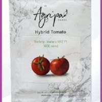 فروش بذر گوجه فرنگی Vadaro 1012 f1