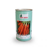 فروش بذر هویج نانتس
