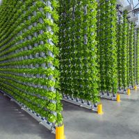 فروش و تجهیزات گلخانه ای پیچ و مهره ای